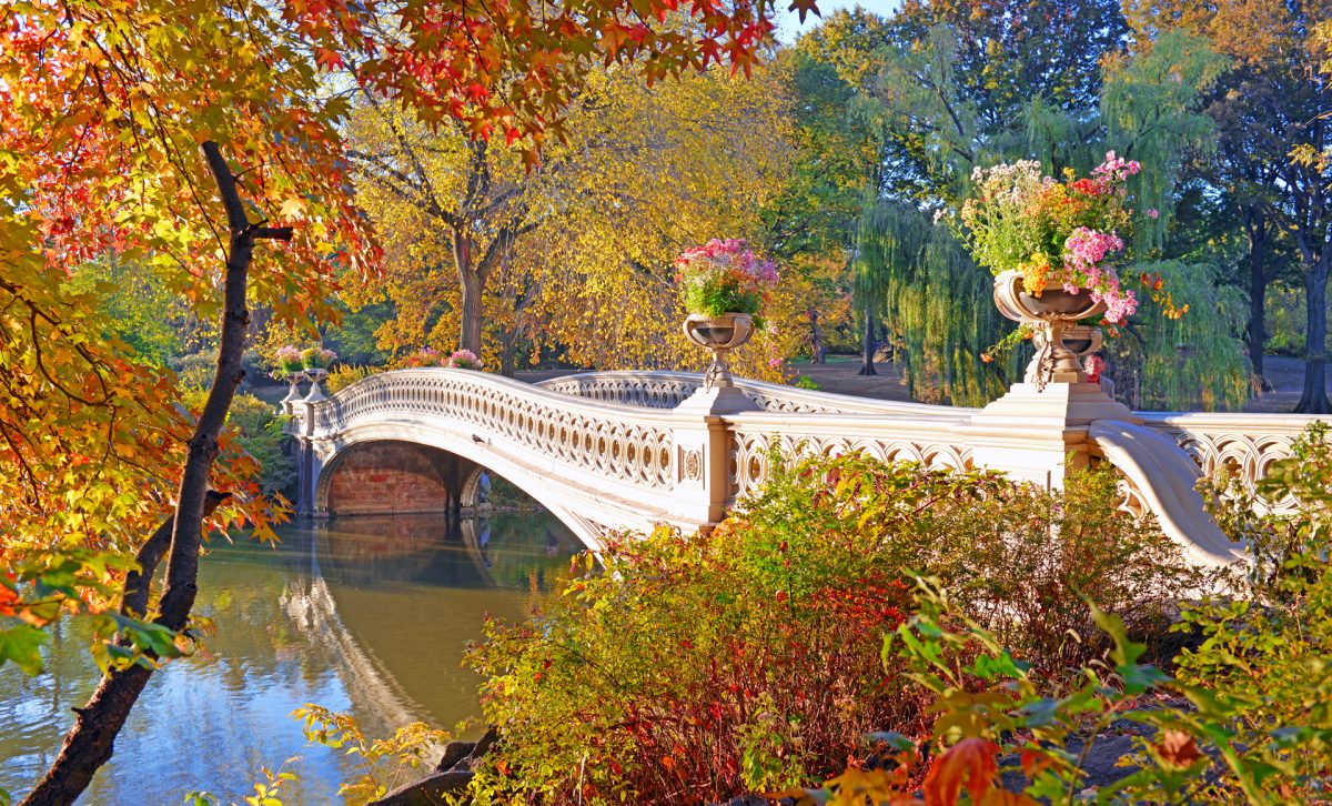 The Best Activities to Do in Central Park